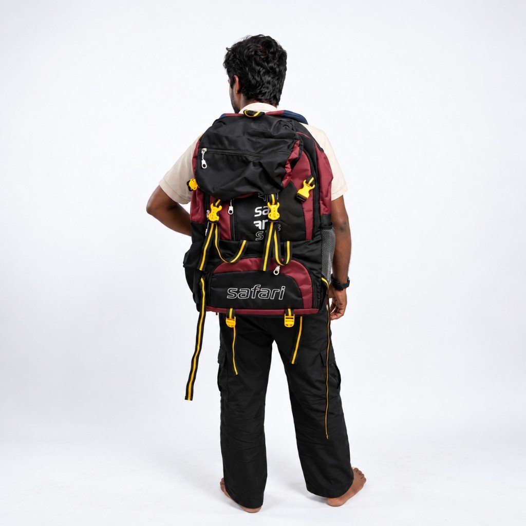 Hiking backpack rear view